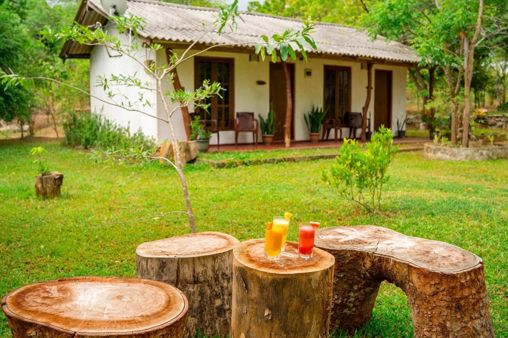 Bed and Breakfast Wild Hut Habarana Zewnętrze zdjęcie